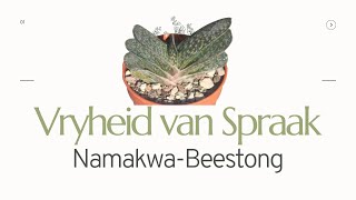 Vryheid I Vryheid van Spraak NamakwaBeestong [upl. by Traver]