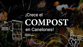 Mirá como creció el compost en Canelones [upl. by Hammer767]