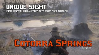 Cotorra Springs  Unique Sight RDRII [upl. by Eyr]