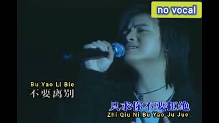 pi zhe yang pi de langkaraoke male [upl. by Hembree451]