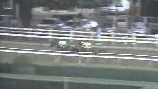 Go For Wand wins the 1990 Alabama Stakes at Saratoga [upl. by Rebane]