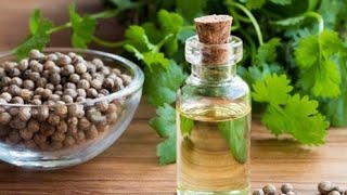 How To Make Coriander Oil At Home  Fresh Coriander Oil Natural [upl. by Iknarf1]