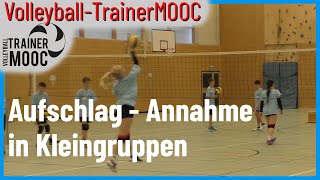 Aufschlag und Annahme in Kleingruppen  Manuel Hartmann  VolleyballTrainerMOOC  Teil 811 [upl. by Bernadene]