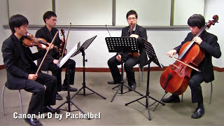 Canon in D by Pachelbel Vetta Quartet from Singapore [upl. by Helena]