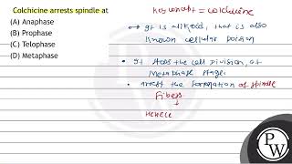 Colchicine arrests spindle at A Anaphase B Prophase C Telophase D Metaphase [upl. by Ahcsas984]