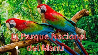 El Parque Nacional del Manu [upl. by Llehcim179]