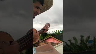 O sol  Vitor Kley Cover cavaco e voz [upl. by Jepson671]