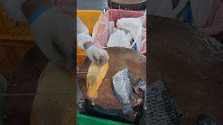 Tilapia fillet fypシ゚viral fishfillet cuttingskils [upl. by Dylan331]