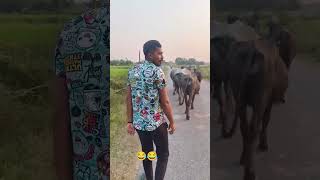 Bhai iPhone chal rahe hai samne 🤣😂😂viralvideo gaon [upl. by Ahsiened]