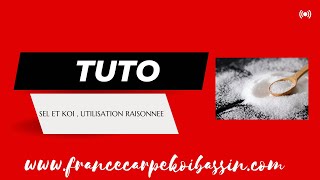 TUTO SEL BASSIN ET KOI  UN CLASSIQUE [upl. by Rufe]