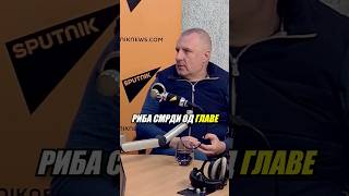 Predrag Popović Pop Riba smrdi od glave miljanovkorner fudbal partizan [upl. by Amadis]