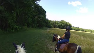 6152024 CAMBOX Trail Field Riding JennaampChloe ShaynaampDreamer [upl. by Noivart758]