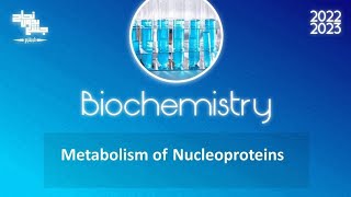 L4 Metabolism of nucleoprotein Biochemistry [upl. by Anneuq327]