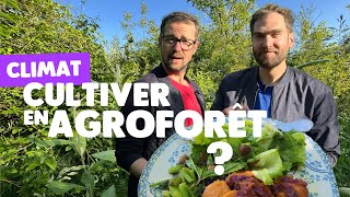 Forêt gourmande  lagriculture déguisée en forêt [upl. by Royden]