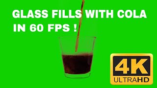 Glass fills with Cola  Green Screen  Free Download  4K 60 FPS [upl. by Ahsikin]