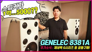 Genelec 8381A 1억 5000만원 상당의 초고가 하이엔드 스피커 [upl. by Ahtelrac]