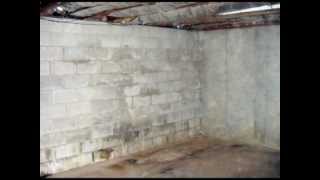 Guide To Damp Proofing Your Cellar  Basement Systems UK [upl. by Krahmer450]