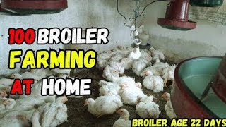 100 broiler farming at home 🐥❤  broiler farming business 🐔 💷 ♥  broiler liver issue 😢🐥 🐔 [upl. by Elmaleh]