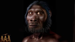 Homo Habilis Full Documentary [upl. by Hoon748]