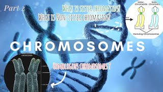 Chromosomes PART 2 genetics biology biostudies [upl. by Colier524]