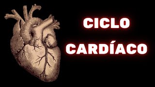 Ciclo cardíaco e valvas cardíacas – Fisiologia Humana [upl. by Marolda]