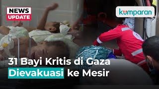 31 Bayi Baru Lahir dengan Kondisi Kritis di RS Gaza Dievakuasi ke Mesir [upl. by Annaer]