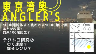 【東京湾奥】テクトロ研究②／歩く速度／探るレンジ／隅田川【シーバス釣り】Can We Catch Fish In Tokyo Bay 67 [upl. by Odin774]