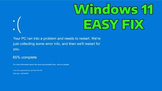 How To Fix Fatal Error Blue Screen of Death in Windows [upl. by Trillby437]