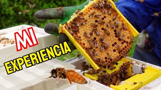 Una forma mas Fácil para criar Abejas Reinas con pocas abejas [upl. by Petronella738]