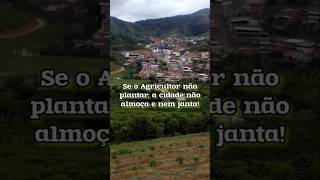 Se o Agricultor não plantar a cidade não se alimenta fazenda roça agro shorts video plantas [upl. by Lekzehcey382]