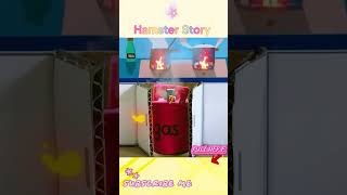 Hamster Escape the Pop It Maze for Pets in Real Life 🐹 Hamster Maze [upl. by Thilde575]