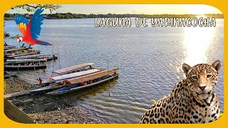 La Laguna de Yarinacocha en Pucallpa Peru [upl. by Lorusso]