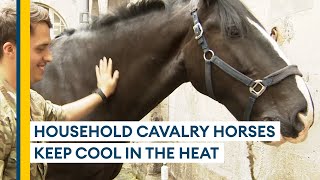 How the Household Cavalry is keeping its horses cool during the heatwave [upl. by Benton]