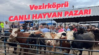 VEZİRKÖPRÜ CANLI HAYVAN PAZARI hayvanpazarı havza vezirköprü büyükbaş trendingvideo [upl. by Eisen]