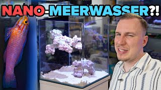 Funktionieren NANOMEERWASSERAQUARIEN  Anfänger TUTORIAL [upl. by Randolph120]