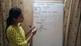 BIOLOGY Lecture 3  Chromatin Chromosome and Chromatid  Genetics Biology [upl. by Aranahs]