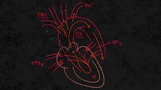 Cardiología Insuficiencia cardiaca quotizquierda y derechaquot [upl. by Sisi]