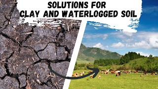 Solutions for Clay and Waterlogged soil [upl. by Hibbitts]