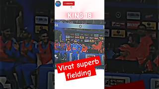 Virat kohli fielding  virat Kohli  viratkohli virat rohitsharma indvsaus bgt shorts cricket [upl. by Streeto]