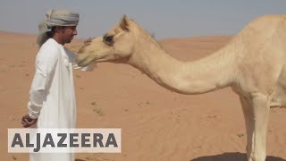 Bedouins in Oman A foot in two worlds [upl. by Anita925]