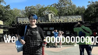 Animal Kingdom amp EPCOT • Florida Vlog E1 [upl. by Asiole]