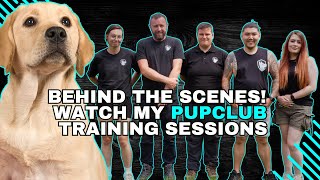 Behind the Scenes PupClub Training  Level 1 Puppy PATS amp Level 2 Classes in Action [upl. by Combe186]