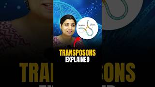 TRANSPOSONS Explained riturattewal neetbiology transposons neet2024 neet [upl. by Sallee]