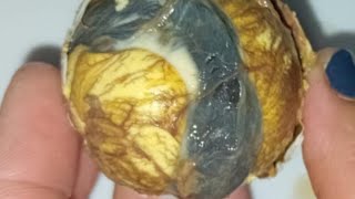 EGG EMBRYO CRACKING ASMR food foodlover asmrsounds eggcurry food egg viralshorts [upl. by Ahsilet441]