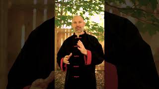 A Better Way to Ask a Question in Martial Arts Class shaolin kungfu martialarts DanielMattson [upl. by Slaughter]