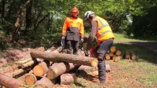 ECC1  Crosscutting timber European Chainsaw Certificate [upl. by Snowber74]