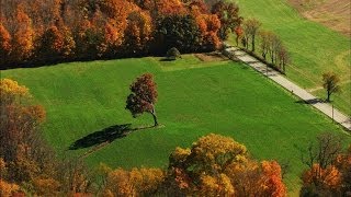 You Can Find the Oak Tree From Shawshank Redemption Here [upl. by Koy]