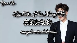 Zhen De Hao Xiang Ni 真的好想你 sangat merindukanmu Chen Ya Sen 陈雅森 Lyrics [upl. by Rahal]