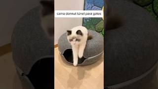 SEU GATO VAI AMAR  cover pets animaisengraçados gatos achadinhos achadinhosshopee petsfofo [upl. by Anaxor127]