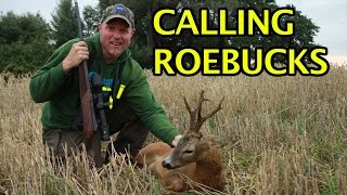 Calling roebucks full video with English language at Clausen TV [upl. by Yatnohs441]